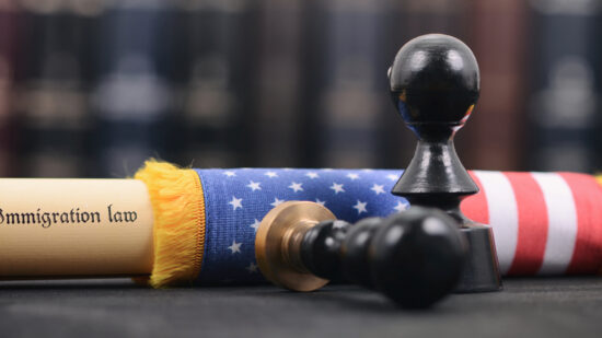 immigration law us flag