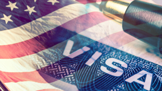 visa american flag pen immigration